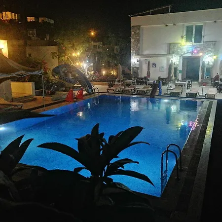 Gth Gloria Guembet * בודרום